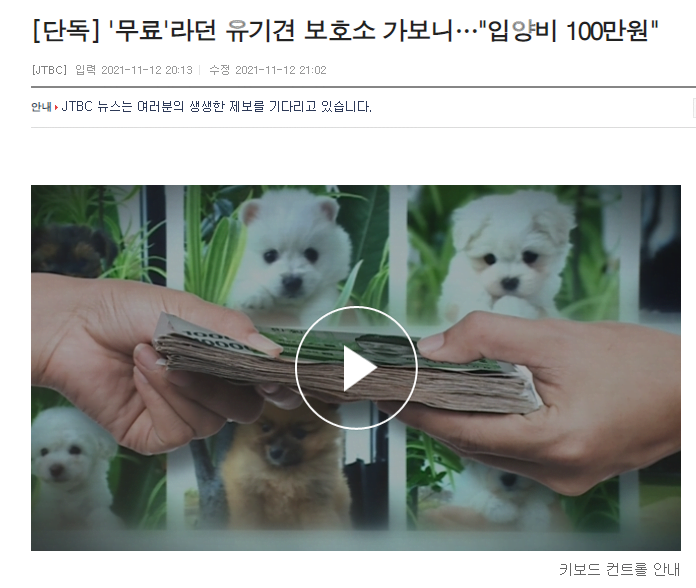 유기견 보호소 변종 펫샵